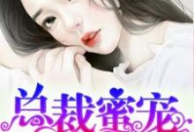 完结版《总裁蜜宠小娇妻》章节阅读-经典文学