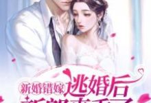 已完结小说《新婚错嫁,逃婚后新郎真香了!》章节免费阅读-经典文学