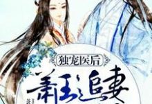 已完结小说《独宠医后：萧王追妻路漫漫》章节在线阅读-经典文学