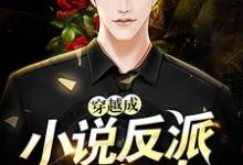 主人公叫林天的小说穿越成小说反派怎么办在线阅读章节-经典文学