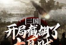 哪里可以免费读到 刘磐貂蝉的完整故事?寻找三国:开局截胡了大耳贼-经典文学