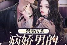 《禁爱囚笼:病娇男的独占欲》小说大结局免费试读 季晏清慕之桃小说-经典文学