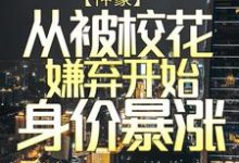 陈凡赵琳琳为主角的小说好看吗？求神豪：从被校花嫌弃开始身价暴涨免费试读-经典文学