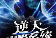 夜岚栗花落小说《逆天火影系统》在线阅读-经典文学
