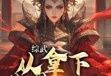 寻找能够免费阅读综武:从拿下黄蓉开始小说的平台-经典文学