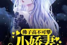 《佛子高不可攀，小娇妻她怂了》全集免费在线阅读（魏语娴傅玄屹）-经典文学