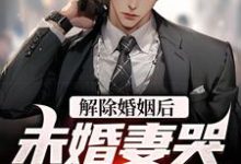赵凛小说在哪里可以看-经典文学