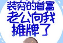 苏恩明燕为主角的小说叫什么?免费看闪婚超甜:装穷的首富老公向我摊牌了-经典文学