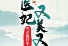 完结版《医妃又美又飒，专治傲娇王爷》章节目录在线阅读-经典文学