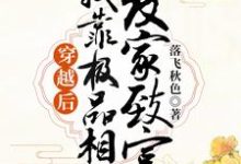 顾雨晨江宏信为主角的小说叫什么?免费看穿越后,我靠极品相公发家致富-经典文学