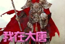 我在大唐卖军火章节免费在线阅读，方二程咬金小青完结版-经典文学