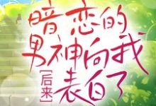后来,暗恋的男神向我表白了 沈清林承洲小说在线章节目录阅读最新章节-经典文学