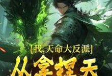 在线寻找我，天命大反派，从拿捏天道开始小说的无删减版本-经典文学