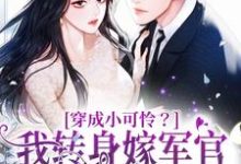 主人公叫周婷婷的小说穿成小可怜?我转身嫁军官好孕连连在线阅读章节-经典文学