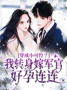 主人公叫周婷婷的小说穿成小可怜？我转身嫁军官好孕连连在线阅读章节