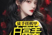徐帆王艺雪是哪本书的主角?寻找徒手搓机甲,白富美女神惊呆了免费阅读-经典文学