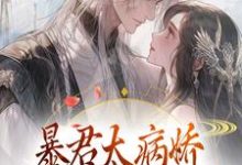主角叫江无眠耶律央的小说在哪阅读-经典文学