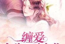 缠爱:今生,要定你小说最新更新在哪里?免费在线看-经典文学