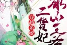 穿越系统：冰山王爷二货妃小说的所有章节都能在哪里免费读到？-经典文学