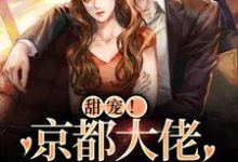 甜宠!京都大佬狂宠小白狐小说无弹窗阅读的网站推荐-经典文学