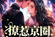 哪里能找到撩惹京圈太子爷失败,我嫁给他爸小说的全部章节?-经典文学