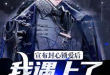 小说《宣布封心锁爱后，我遇上了心动对象》在线章节阅读-经典文学