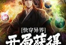 陆渊为主角的小说好看吗?求快穿异界:开局获得荒古圣体免费试读-经典文学