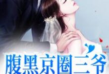 腹黑京圈三爷，只对她心动免费阅读，腹黑京圈三爷，只对她心动章节目录-经典文学