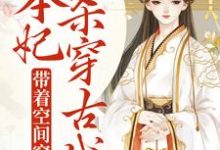免费阅读岳如霜晏锦行为主角的小说,带着空间穿越,本妃杀穿古代在线看-经典文学