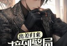 《出差归来，接到警局电话赎老婆》小说大结局免费试读 王昊小说-经典文学