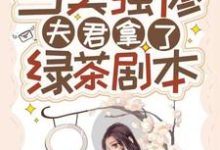 当美强惨夫君拿了绿茶剧本小说的免费电子版在哪里可以下载或阅读?-经典文学