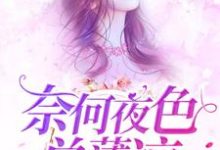 奈何夜色总薄凉免费阅读,奈何夜色总薄凉章节在线阅读-经典文学