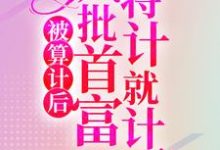 被算计后，疯批首富将计就计了小说，被算计后，疯批首富将计就计了免费阅读-经典文学