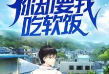 《我医术无双，你却要我吃软饭？》小说大结局免费试读  叶峰楚烟儿小说-经典文学