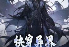 主角林书小说快穿异界:我的武祖系统免费阅读-经典文学