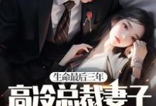 晏隋蒋琬为主角的小说好看吗？免费读生命最后三年，高冷总裁妻子疯狂报复我！-经典文学
