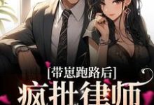 男女主人公方棠沈丛南小说带崽跑路后,疯批律师急哭了章节免费阅读-经典文学