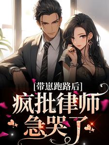 男女主人公方棠沈丛南小说带崽跑路后，疯批律师急哭了章节免费阅读