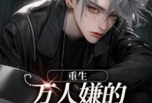 主角萧谨蓝景煜小说重生：万人嫌的小少爷逆袭了免费阅读-经典文学