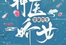 神医娇女涅槃而生沈青鸾风璃宸，神医娇女涅槃而生在线无弹窗阅读-经典文学