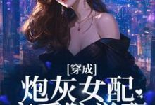 《穿成炮灰女配,恋爱脑觉醒》小说主角孟拂陆寂章节章节免费在线阅读-经典文学