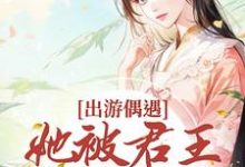 宋萧萧萧煜衡为主角的小说好看吗?求出游偶遇,她被君王强取豪夺免费试读-经典文学
