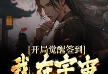 主人公叶梵小说开局觉醒签到,我在宇宙无敌了在线章节阅读-经典文学