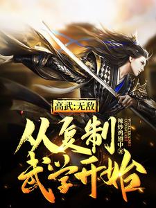 完结版《高武：无敌从复制武学开始》章节阅读
