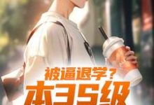 免费阅读陈启为主角的小说，被逼退学？本3S级弓手不装了在线看-经典文学