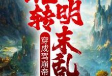 小说《穿成驾崩帝皇，玩转明末乱世》章节免费阅读-经典文学