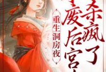 重生洞房夜,本废后宫斗杀疯了小说的免费电子版在哪里可以下载或阅读?-经典文学