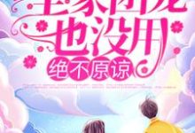 陆莺晗小说叫什么(全家团宠也没用,绝不原谅!免费阅读)-经典文学