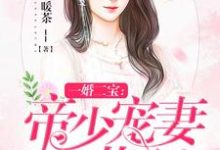 一婚二宝:帝少宠妻无节制小说最新更新在哪里?免费在线看-经典文学