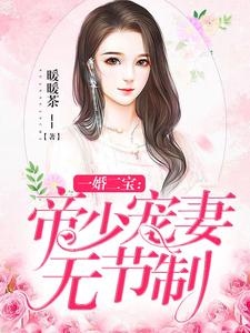 一婚二宝：帝少宠妻无节制小说最新更新在哪里？免费在线看